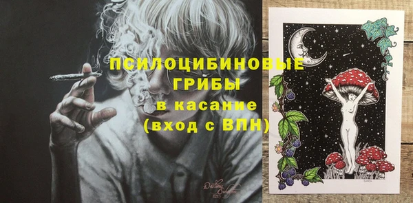 твердый Алексеевка