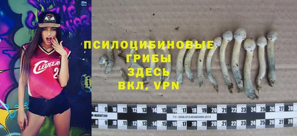 ешки Абдулино