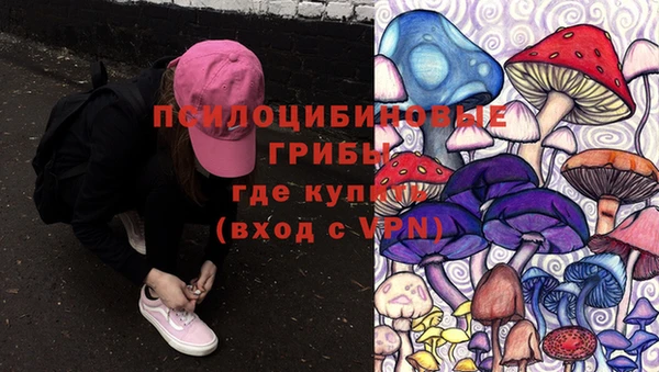 ГАЛЛЮЦИНОГЕННЫЕ ГРИБЫ Алексин