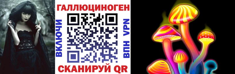 omg ТОР  Череповец  Псилоцибиновые грибы Cubensis 